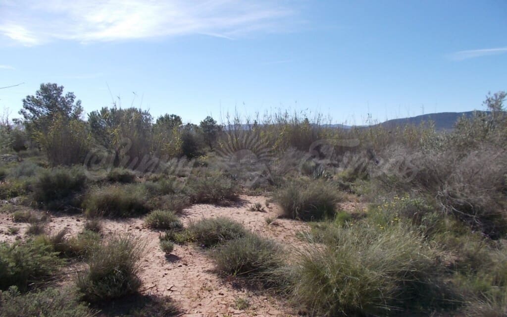 Finca/Country House for sale in Yecla - € 49,000 (Ref: 6107413)