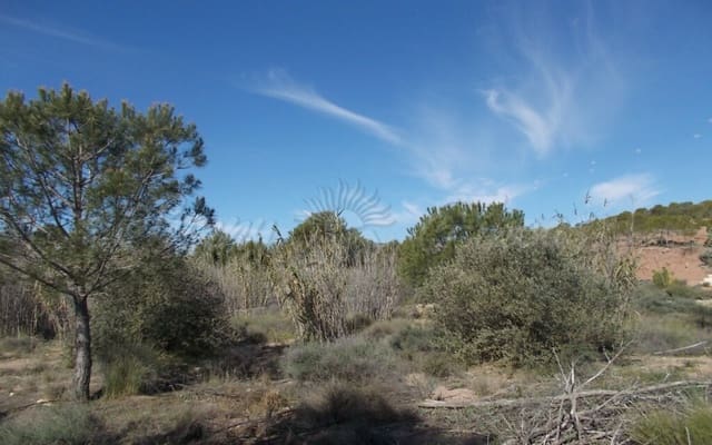 Finca/Herregård til salgs i Yecla - € 49 000 (Ref: 6107413)