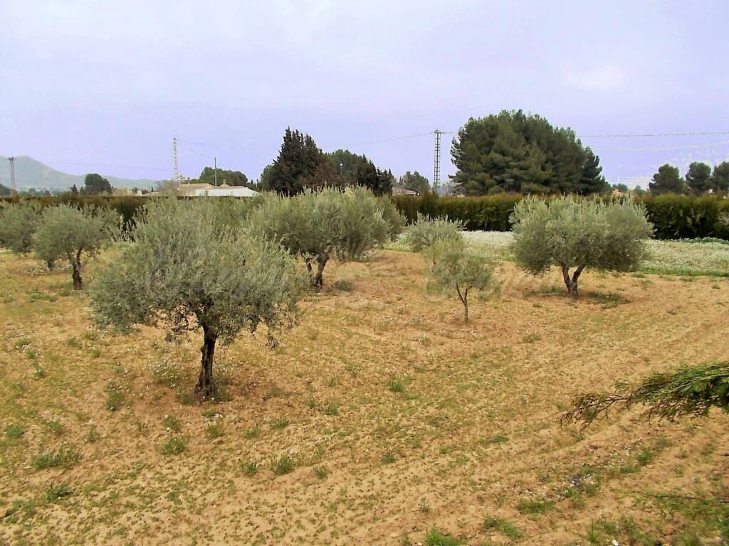 7 soveværelse Villa til salg i Yecla med swimmingpool garage - € 449.000 (Ref: 6107416)