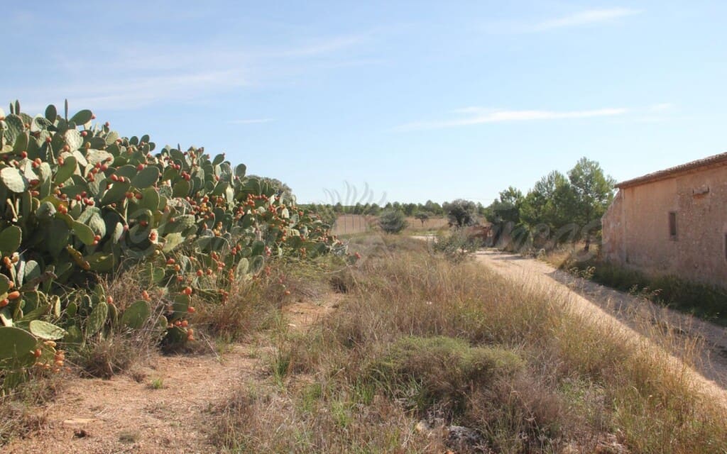 6 quarto Quinta/Casa Rural para venda em Raspay com garagem - 425 000 € (Ref: 6107417)