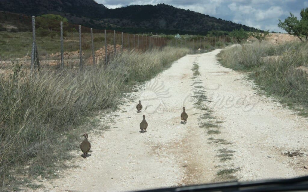 6 quarto Quinta/Casa Rural para venda em Raspay com garagem - 425 000 € (Ref: 6107417)
