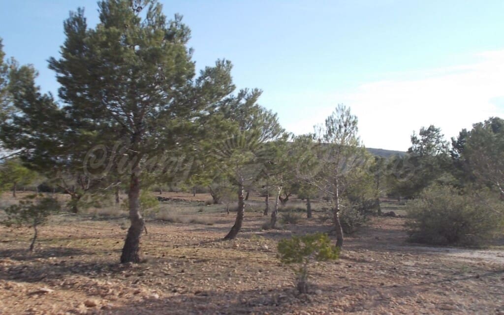 6 quarto Quinta/Casa Rural para venda em Raspay com garagem - 425 000 € (Ref: 6107417)