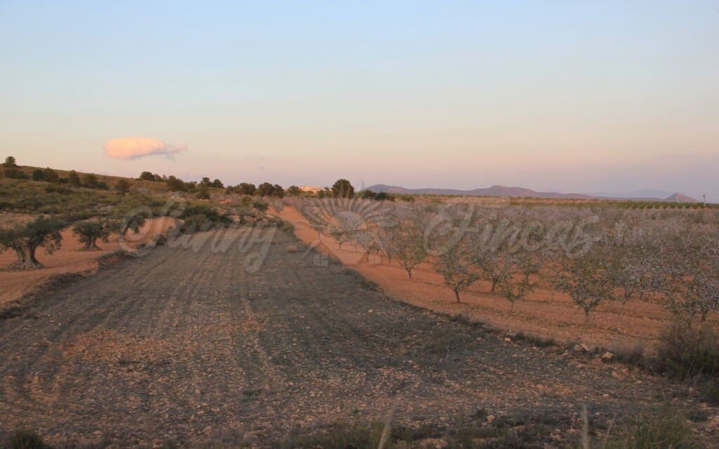 6 quarto Quinta/Casa Rural para venda em Raspay com garagem - 425 000 € (Ref: 6107417)