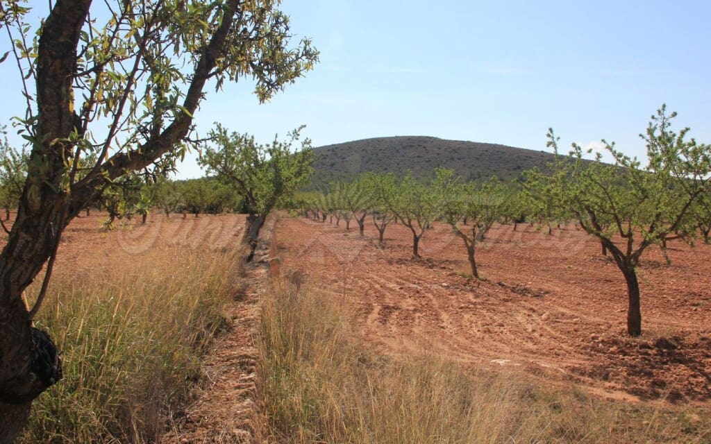6 quarto Quinta/Casa Rural para venda em Raspay com garagem - 425 000 € (Ref: 6107417)