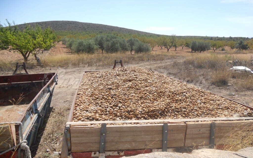 6 quarto Quinta/Casa Rural para venda em Raspay com garagem - 425 000 € (Ref: 6107417)