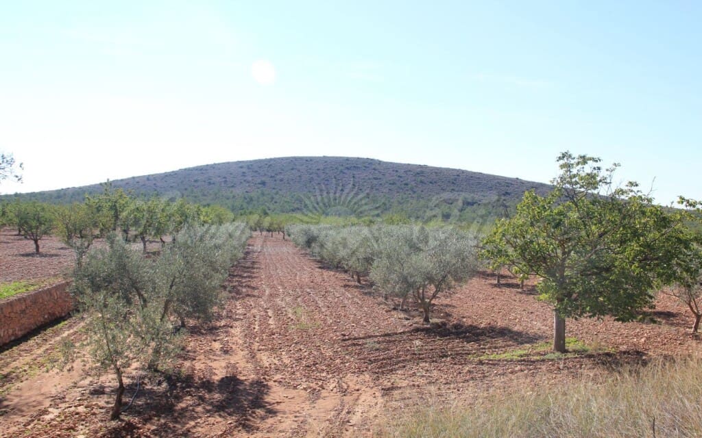6 quarto Quinta/Casa Rural para venda em Raspay com garagem - 425 000 € (Ref: 6107417)