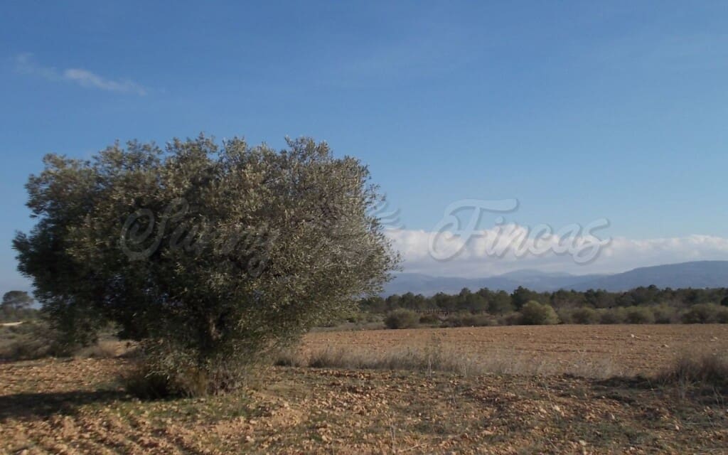 6 quarto Quinta/Casa Rural para venda em Raspay com garagem - 425 000 € (Ref: 6107417)