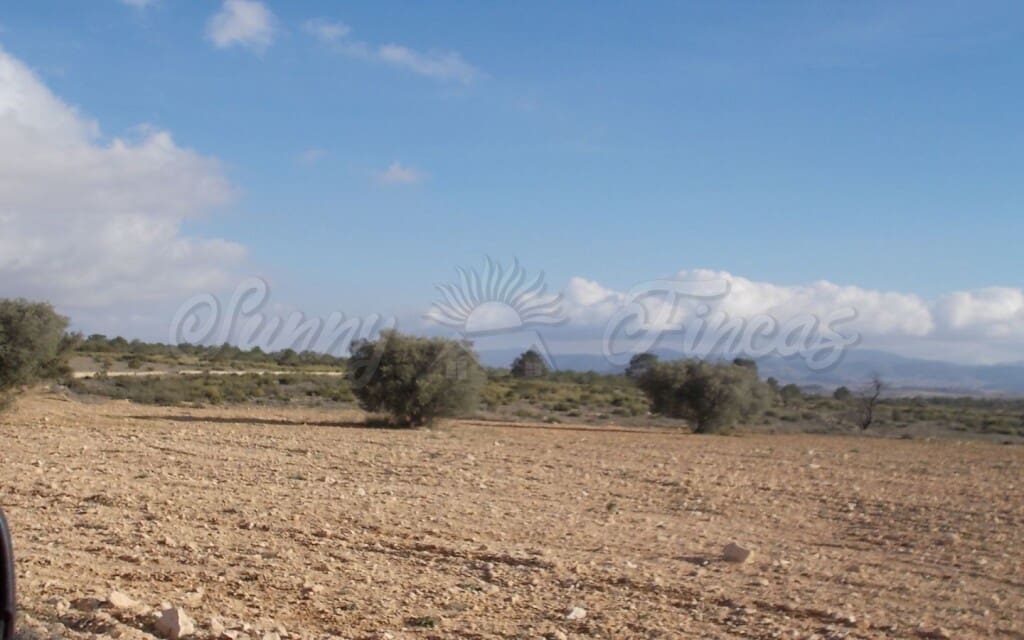 6 quarto Quinta/Casa Rural para venda em Raspay com garagem - 425 000 € (Ref: 6107417)