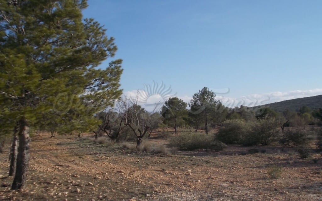 6 quarto Quinta/Casa Rural para venda em Raspay com garagem - 425 000 € (Ref: 6107417)