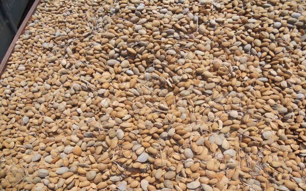 6 quarto Quinta/Casa Rural para venda em Raspay com garagem - 425 000 € (Ref: 6107417)