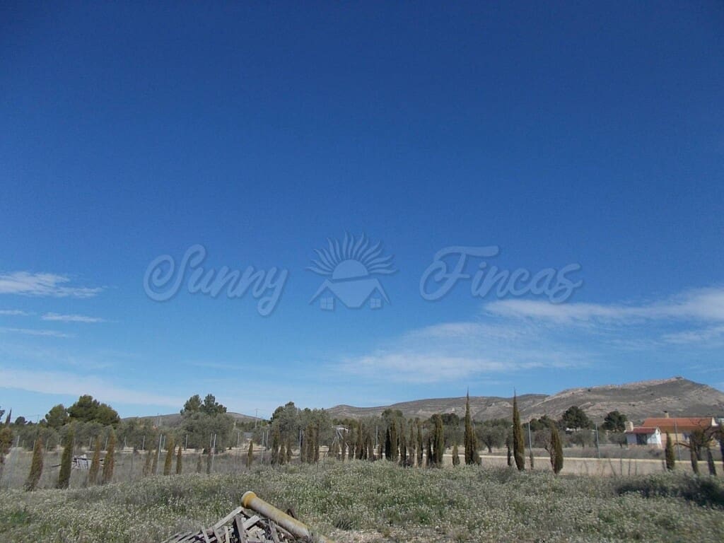 6 chambre Villa/Maison à vendre à Yecla avec piscine garage - 419 900 € (Ref: 6107423)