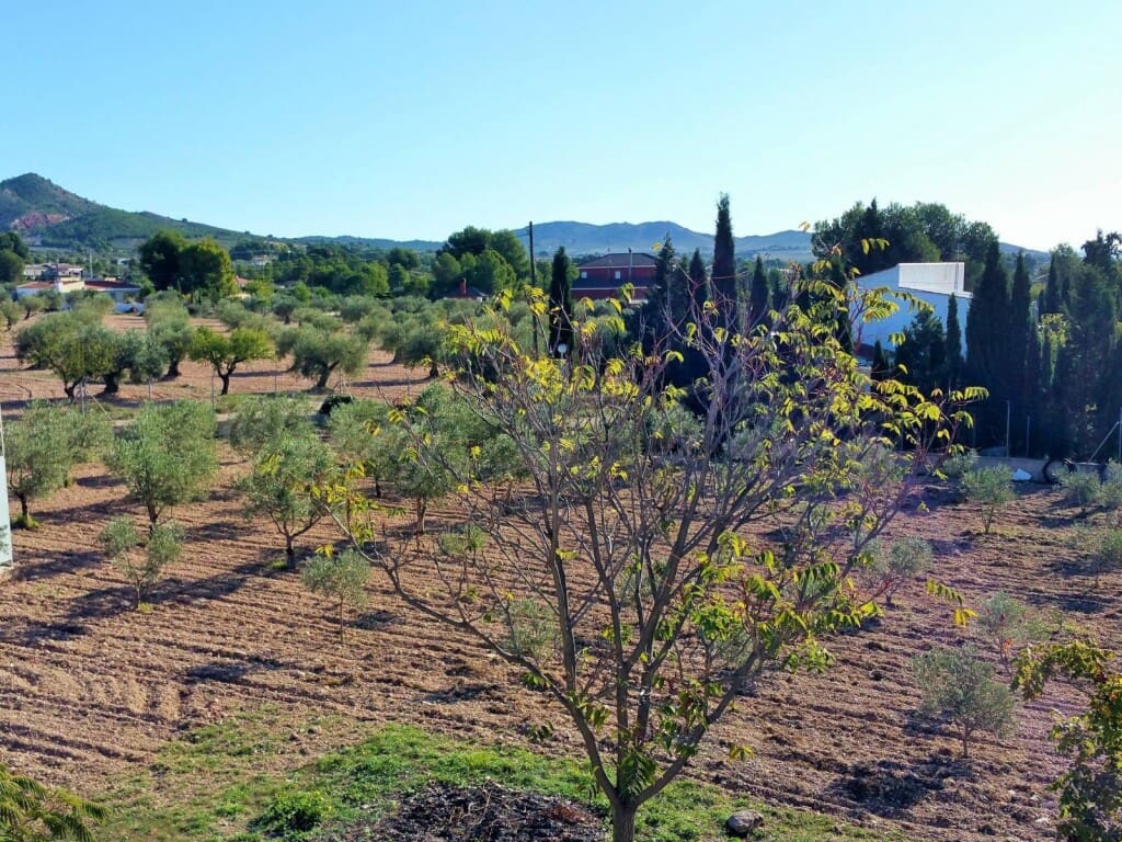 5 soverom Villa til salgs i Yecla med svømmebasseng garasje - € 360 000 (Ref: 6107435)