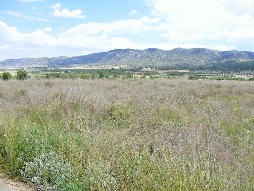 Mark till salu i Salinas - 35 000 € (Ref: 6107436)