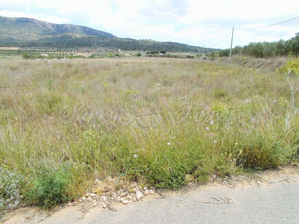 Mark till salu i Salinas - 35 000 € (Ref: 6107436)