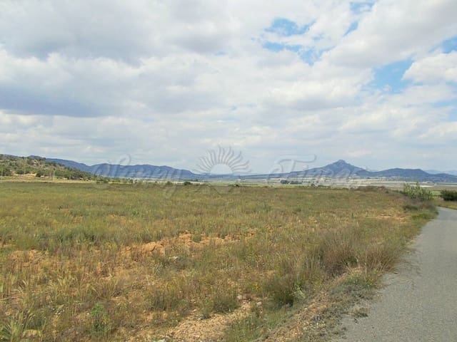 Mark till salu i Salinas - 35 000 € (Ref: 6107436)