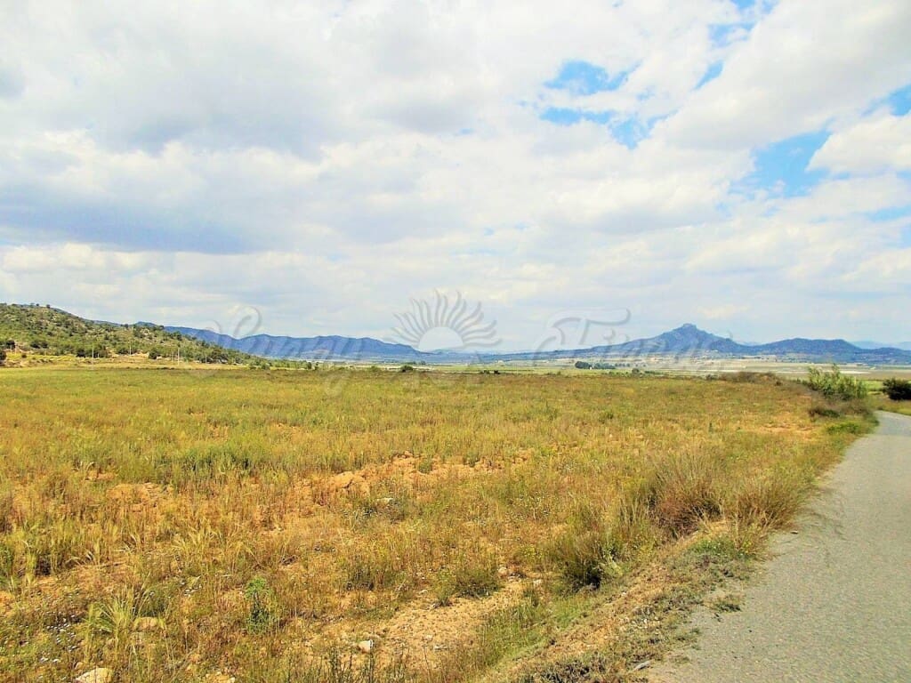 Mark till salu i Salinas - 35 000 € (Ref: 6107436)