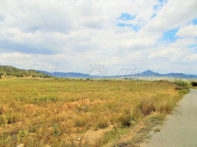Mark till salu i Salinas - 35 000 € (Ref: 6107436)