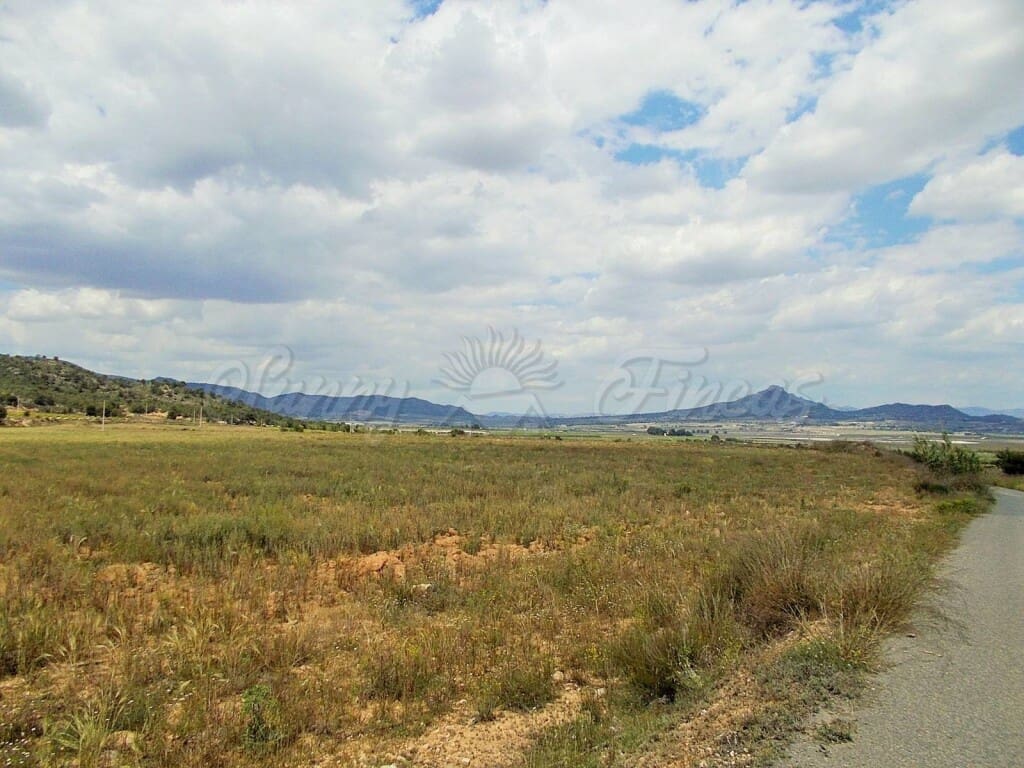 Mark till salu i Salinas - 35 000 € (Ref: 6107436)