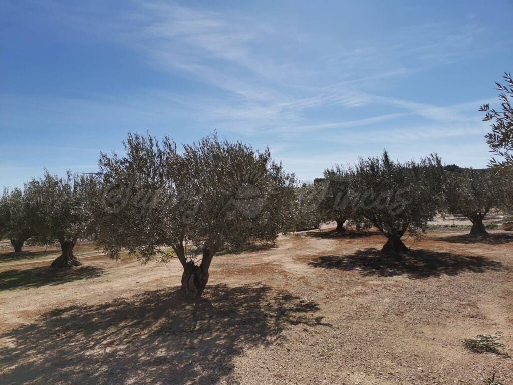 1 soveværelse Finca/Landehus til salg i Caudete med garage - € 57.000 (Ref: 6107447)