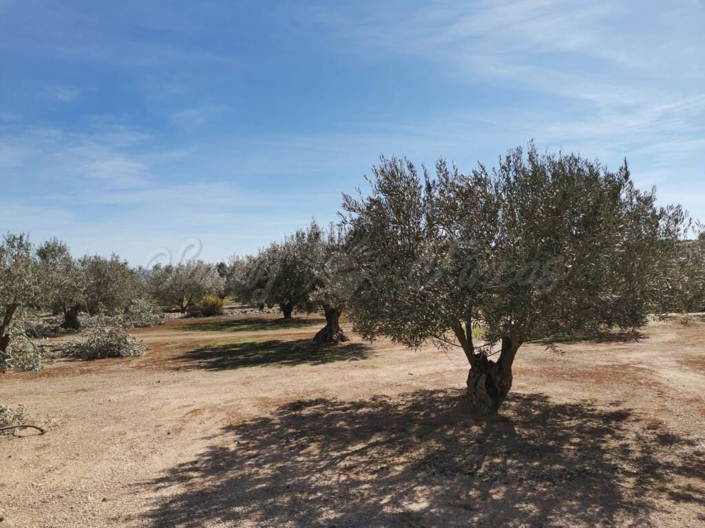 1 soveværelse Finca/Landehus til salg i Caudete med garage - € 57.000 (Ref: 6107447)