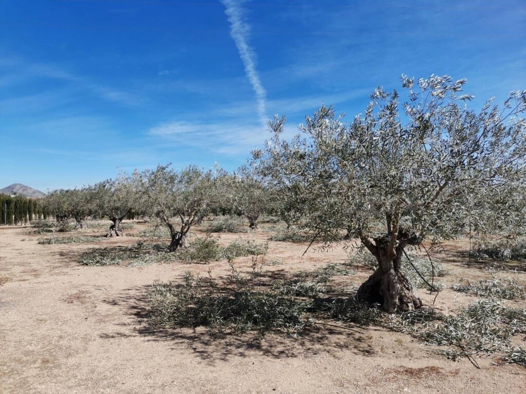 1 soveværelse Finca/Landehus til salg i Caudete med garage - € 57.000 (Ref: 6107447)