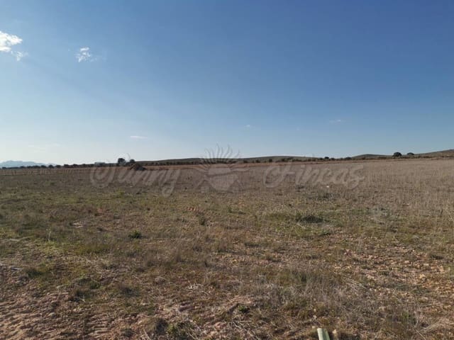 Mark till salu i Yecla - 29 900 € (Ref: 6107469)