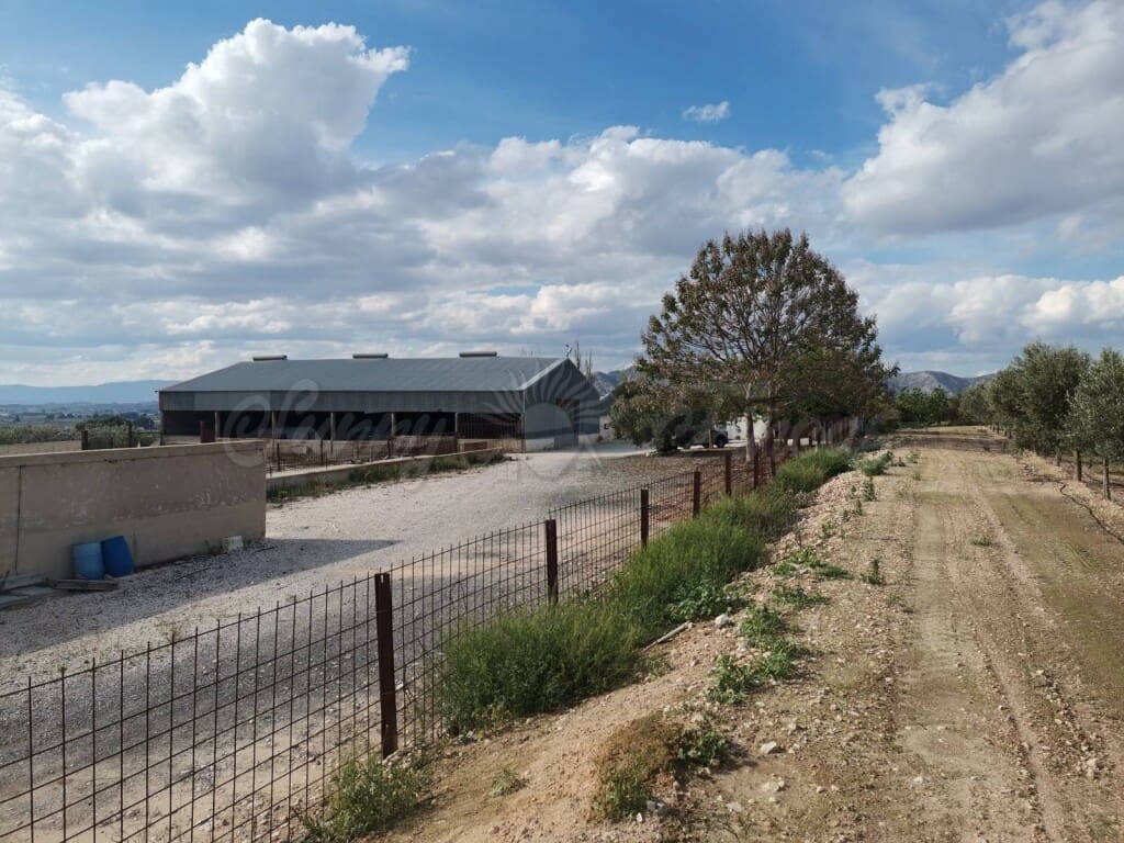 3 soveværelse Finca/Landehus til salg i Villena med swimmingpool garage - € 415.000 (Ref: 6107472)