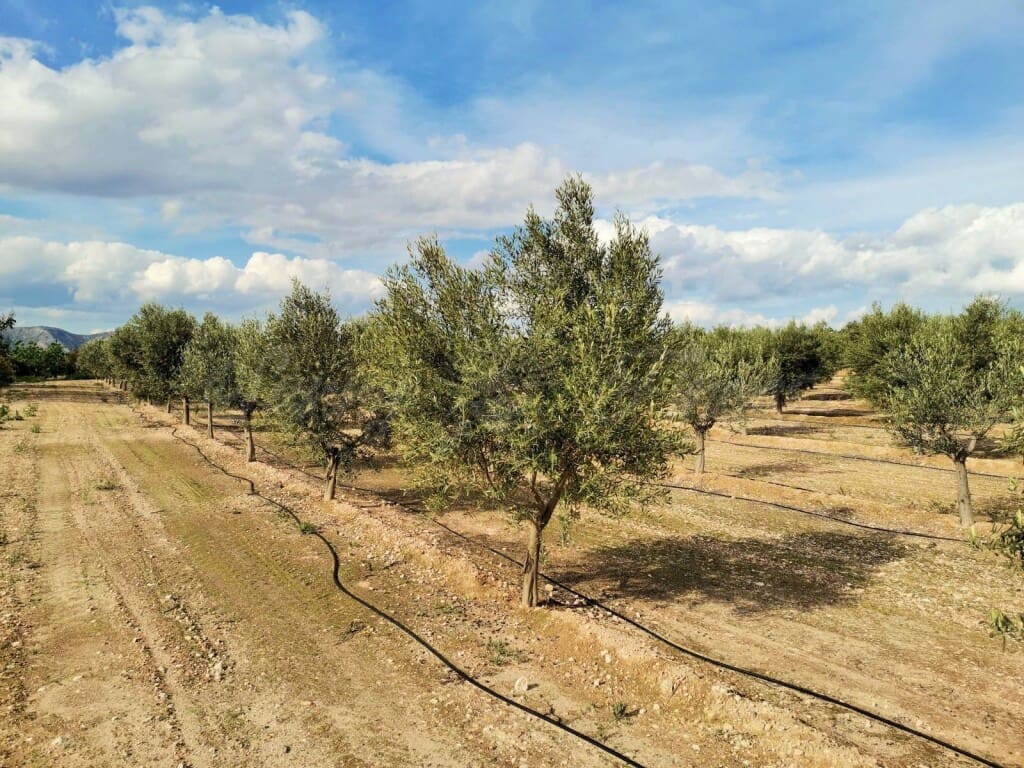 3 soveværelse Finca/Landehus til salg i Villena med swimmingpool garage - € 415.000 (Ref: 6107472)