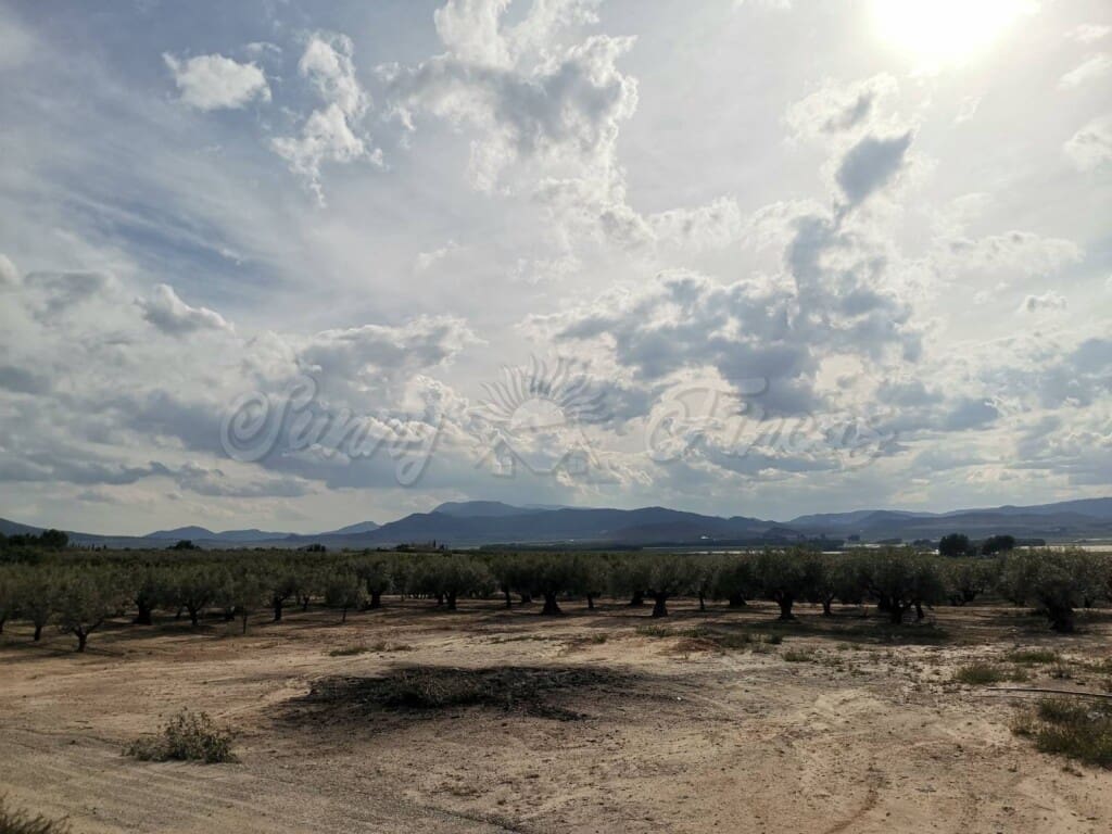 3 soveværelse Finca/Landehus til salg i Villena med swimmingpool garage - € 415.000 (Ref: 6107472)