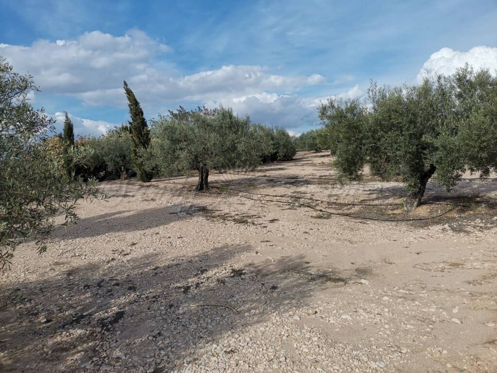 3 soveværelse Finca/Landehus til salg i Villena med swimmingpool garage - € 415.000 (Ref: 6107472)