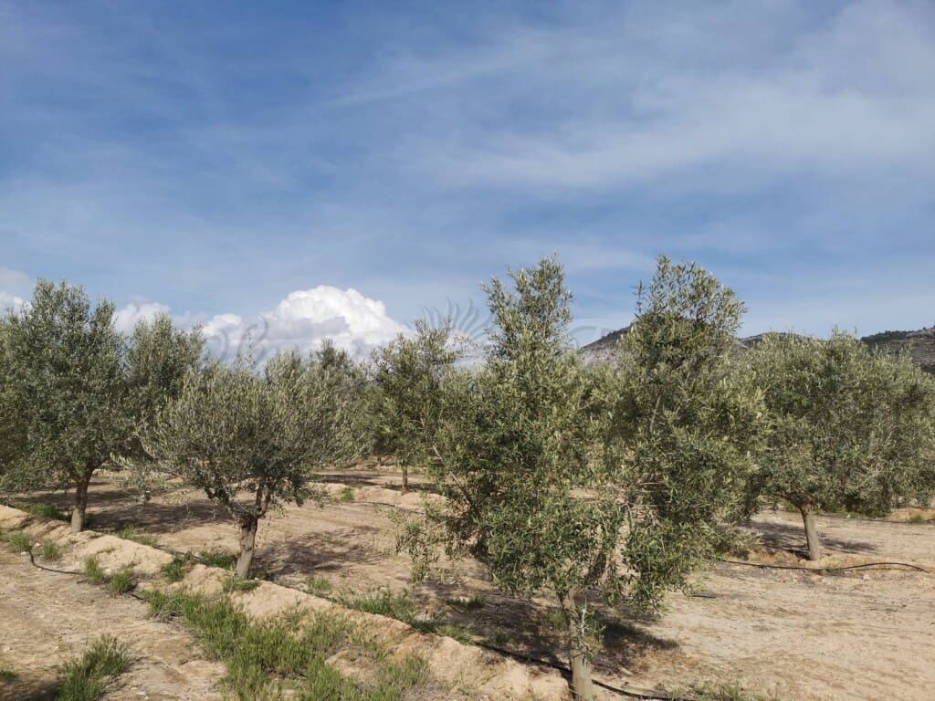 3 soveværelse Finca/Landehus til salg i Villena med swimmingpool garage - € 415.000 (Ref: 6107472)