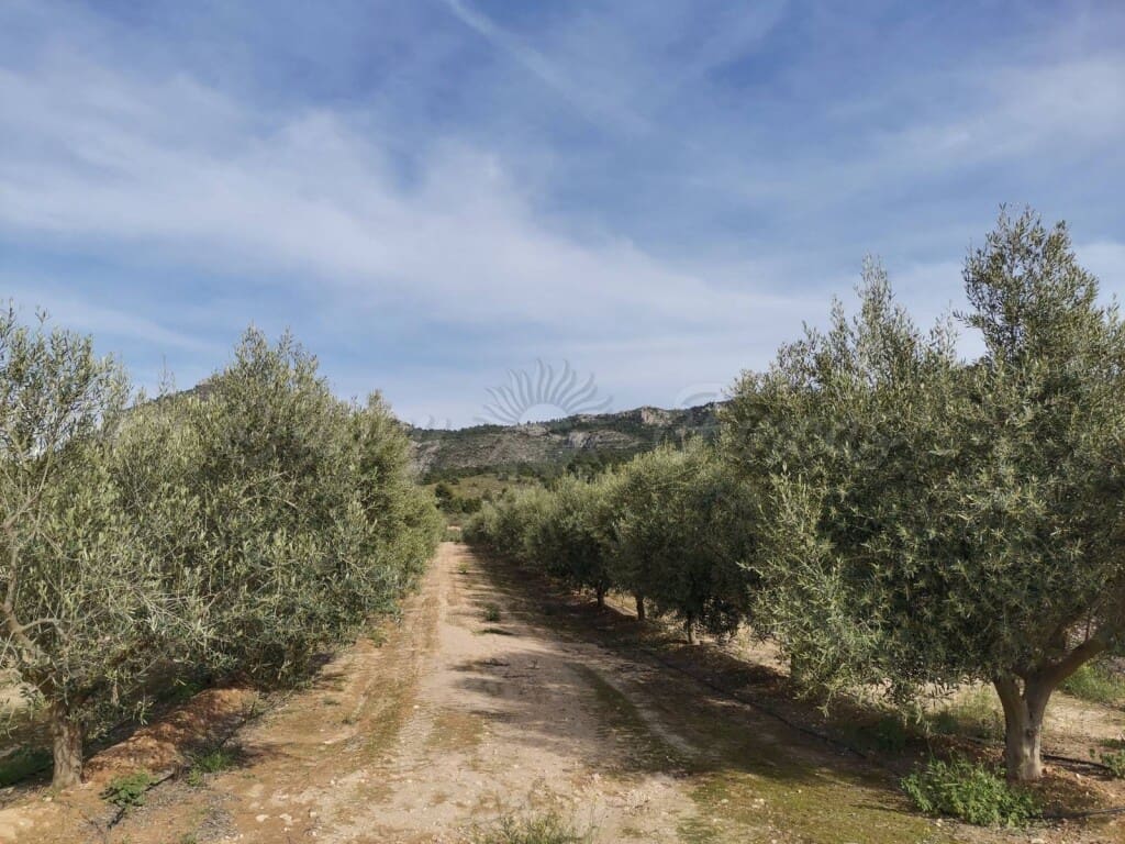 3 soveværelse Finca/Landehus til salg i Villena med swimmingpool garage - € 415.000 (Ref: 6107472)