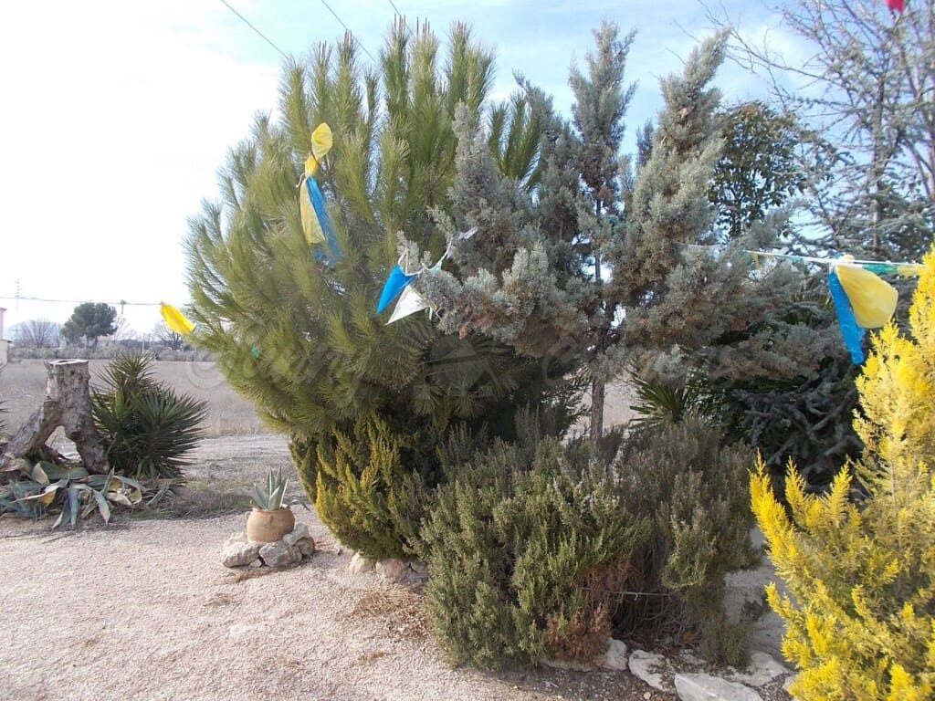 1 soverom Finca/Herregård til salgs i Villena med garasje - € 42 000 (Ref: 6107481)