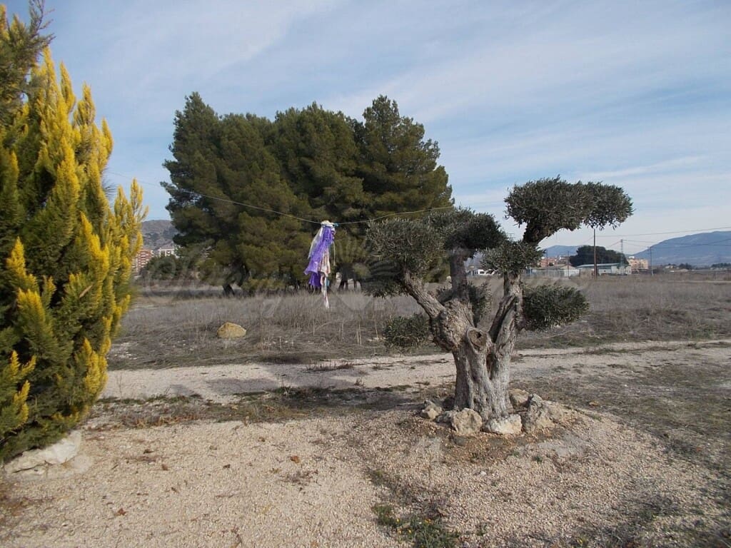 1 soverom Finca/Herregård til salgs i Villena med garasje - € 42 000 (Ref: 6107481)