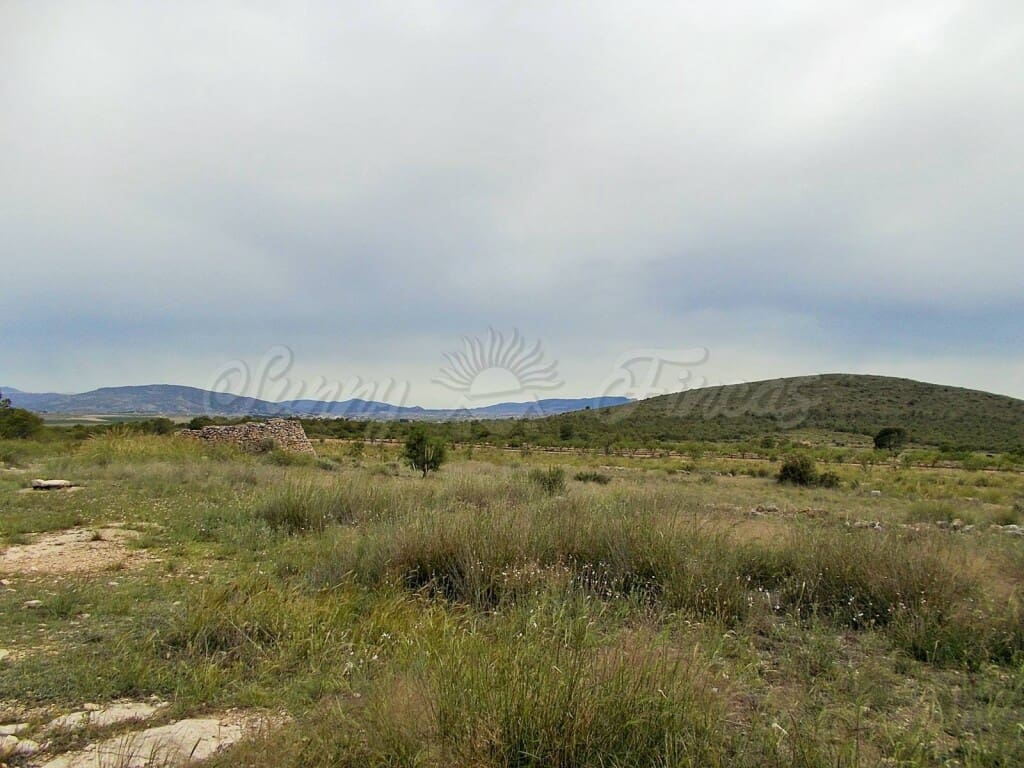 Ruin til salg i Pinoso - € 85.000 (Ref: 6107482)