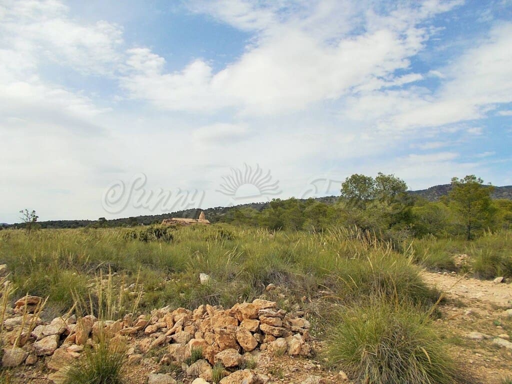 Ruin til salg i Pinoso - € 85.000 (Ref: 6107482)
