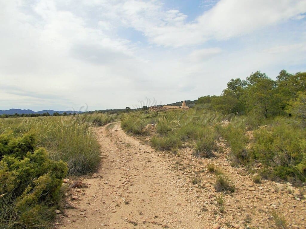 Ruin til salg i Pinoso - € 85.000 (Ref: 6107482)