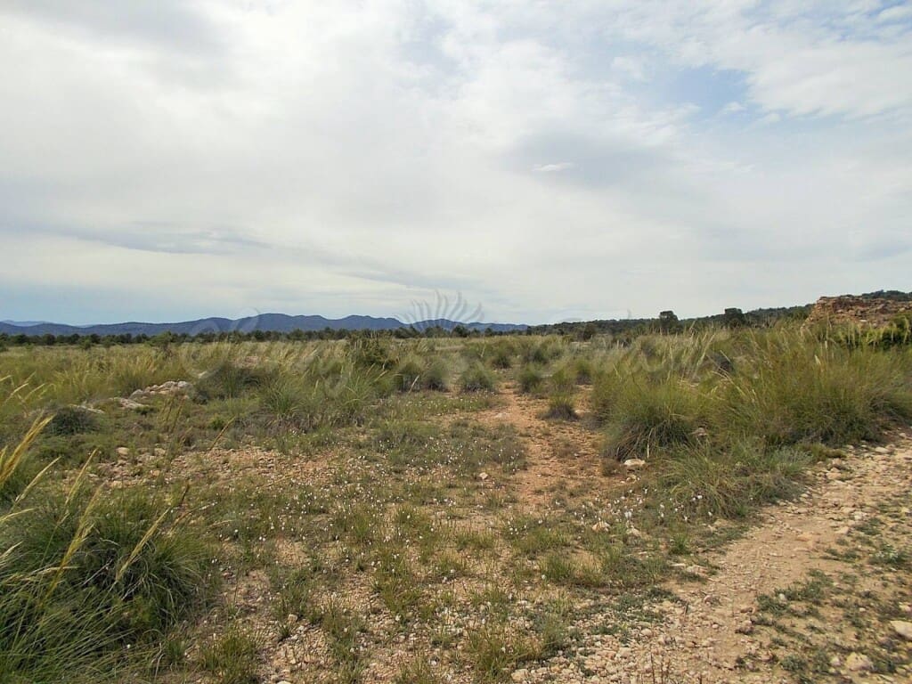 Ruin til salg i Pinoso - € 85.000 (Ref: 6107482)