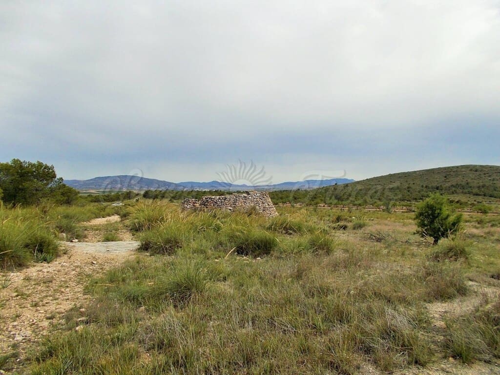 Ruin til salg i Pinoso - € 85.000 (Ref: 6107482)