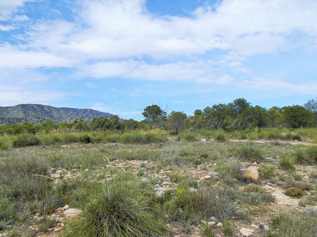 Ruin til salg i Pinoso - € 85.000 (Ref: 6107482)