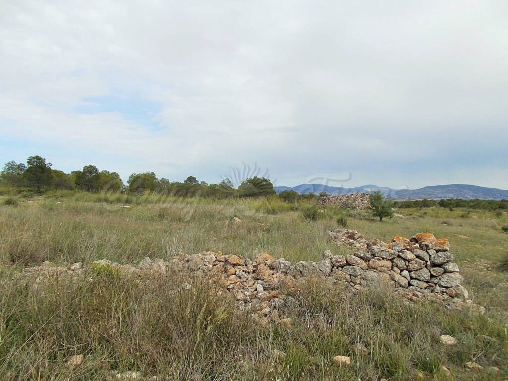 Ruin til salg i Pinoso - € 85.000 (Ref: 6107482)