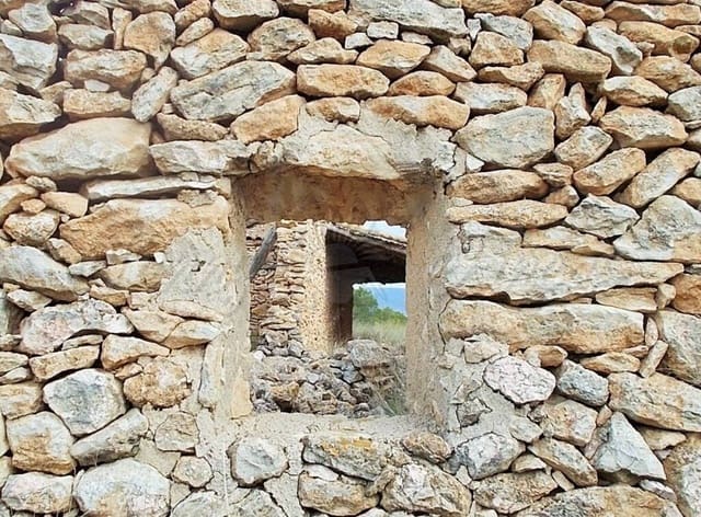 Ruin for sale in Pinoso - € 85,000 (Ref: 6107482)
