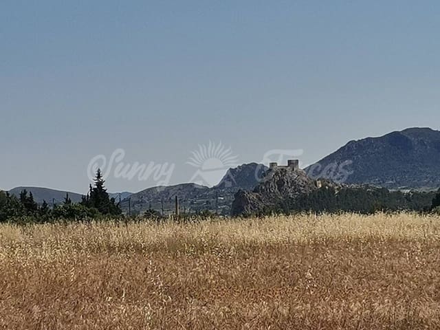 Undeveloped Land for sale in Sax - € 59,000 (Ref: 6128818)