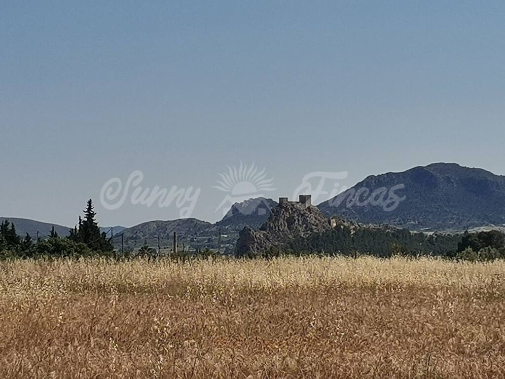 Grunde uden byggetilladelser til salg i Sax - € 59.000 (Ref: 6128818)