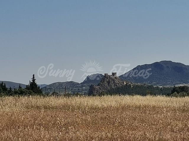 Undeveloped Land for sale in Sax - € 59,000 (Ref: 6128818)