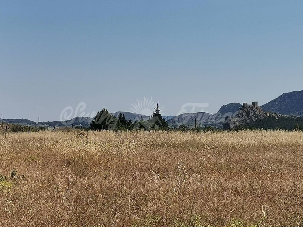 Grunde uden byggetilladelser til salg i Sax - € 59.000 (Ref: 6128818)