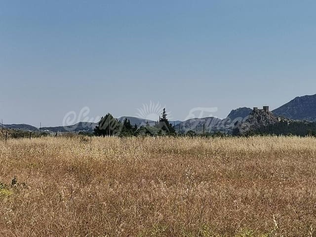 Undeveloped Land for sale in Sax - € 59,000 (Ref: 6128818)