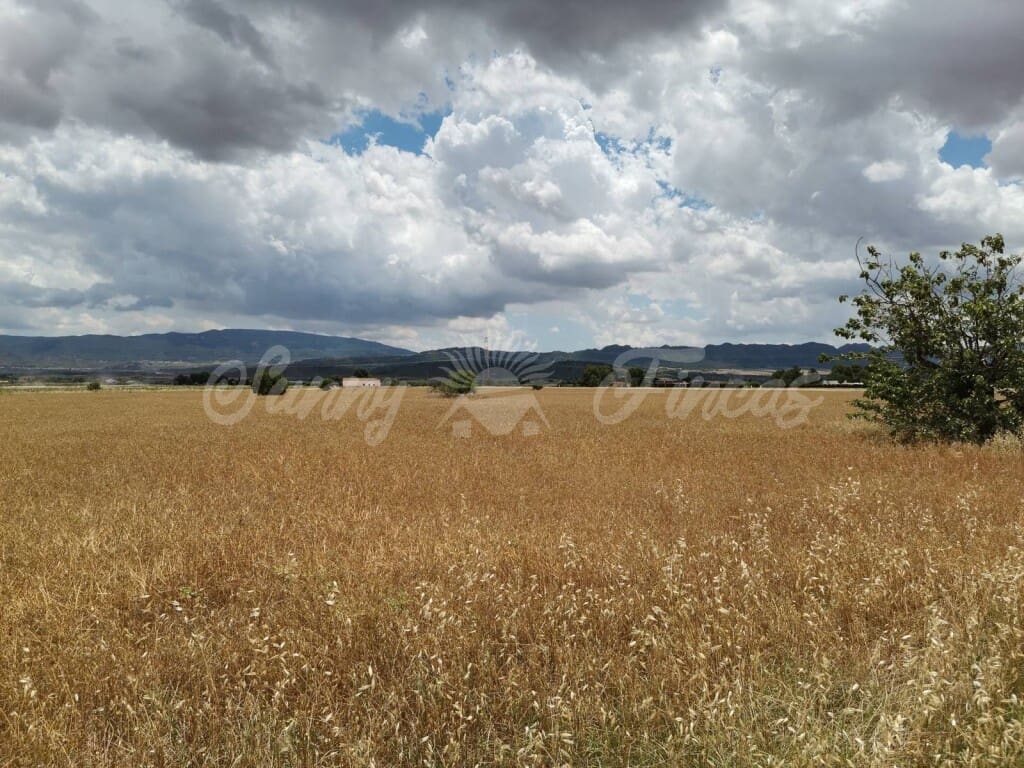 Grond te koop in Yecla - € 32.900 (Ref: 6204627)