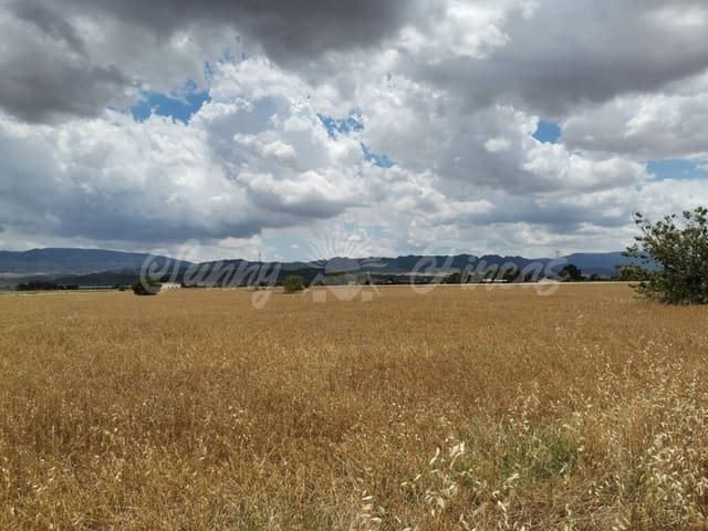 Rakentamaton maa myytävänä paikassa Yecla - 32 900 € (Ref: 6204627)