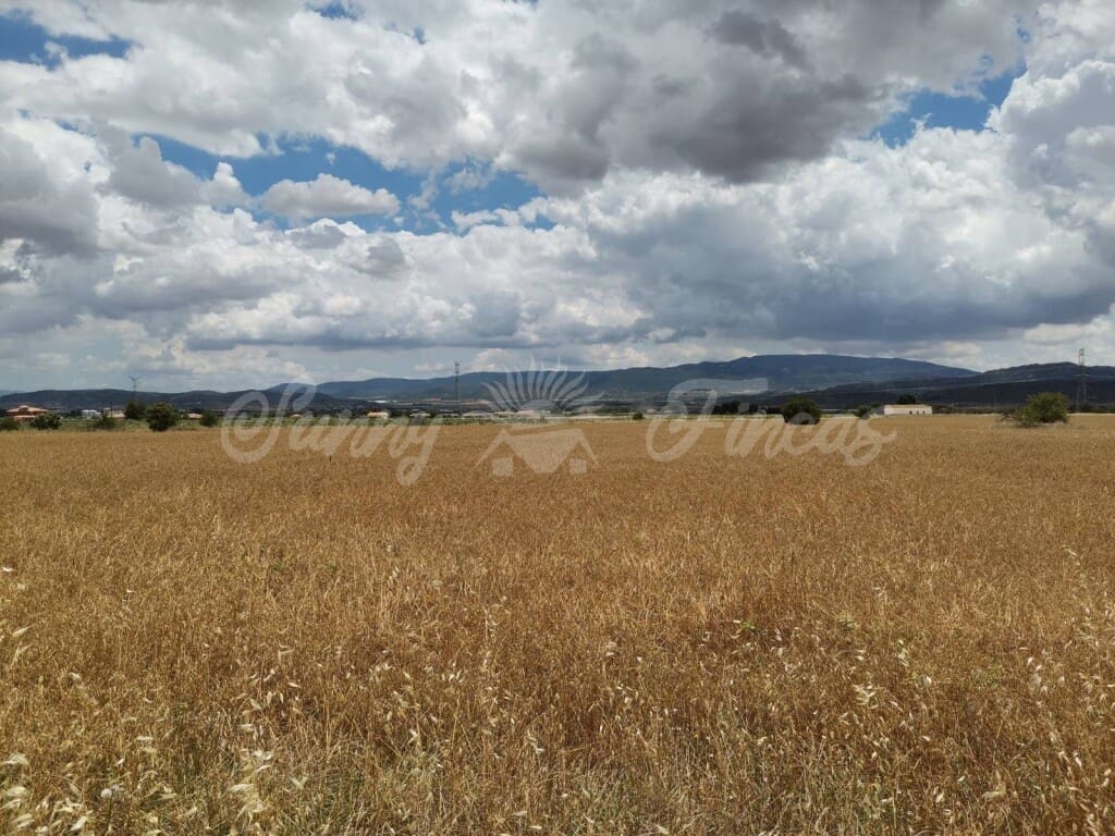 Grond te koop in Yecla - € 32.900 (Ref: 6204627)